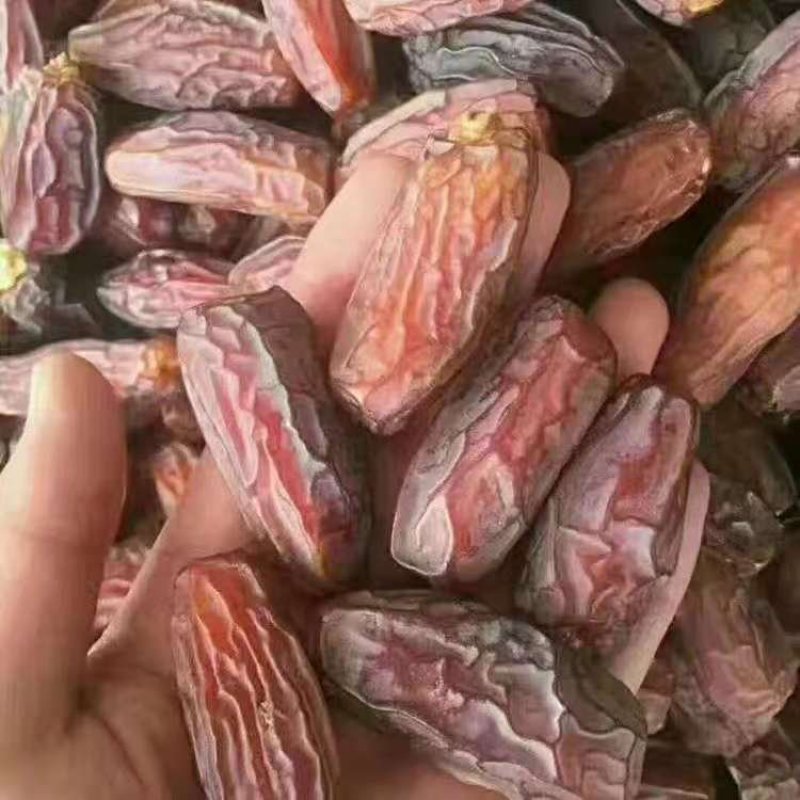 进口黄椰枣，黑椰枣，沙特枣，鲜椰枣，