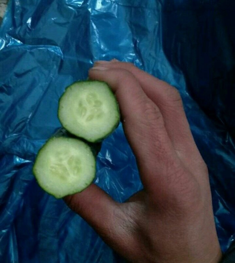 河南夏邑益农合作社基地种植万亩高温棚密刺黄瓜保质保量