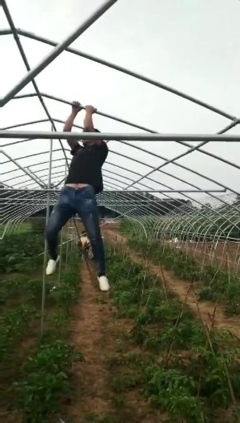 蔬菜大棚，尺寸任意定制，热度锌管。质保15年