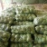 单县甘蓝包菜大量上市！质量**，袋装散装都有，代发全国。