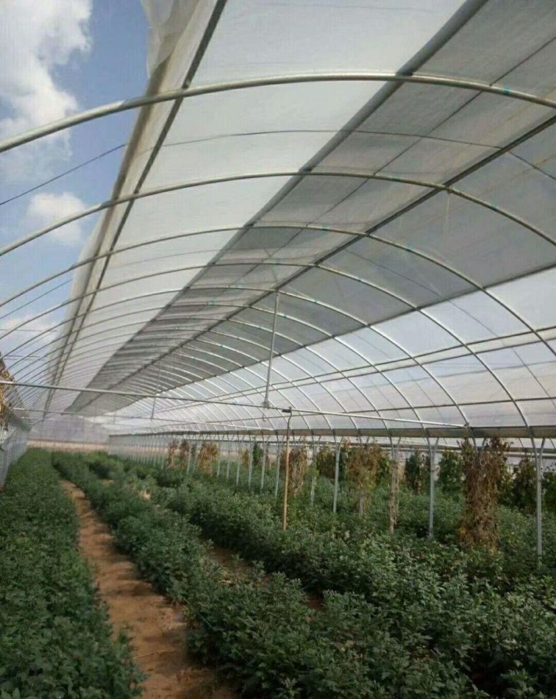 大棚管大棚杆大棚骨架大棚骨架大棚管大棚配件专业