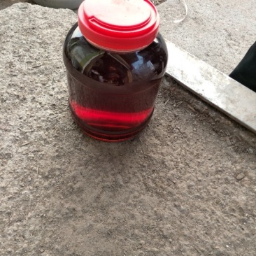 虾油拌凉菜味道好极了。