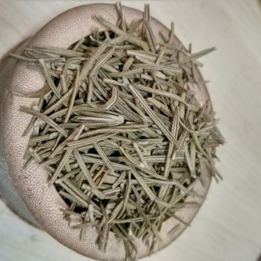 迷迭香海洋之露艾菊货好量大欢迎下单