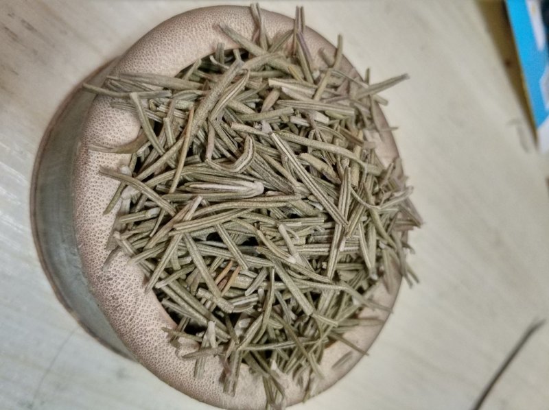 迷迭香海洋之露艾菊货好量大欢迎下单