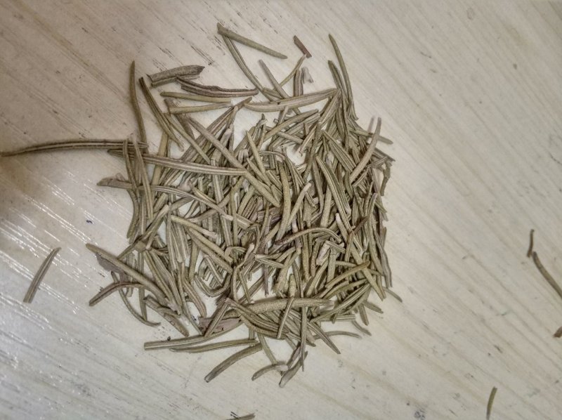 迷迭香海洋之露艾菊货好量大欢迎下单