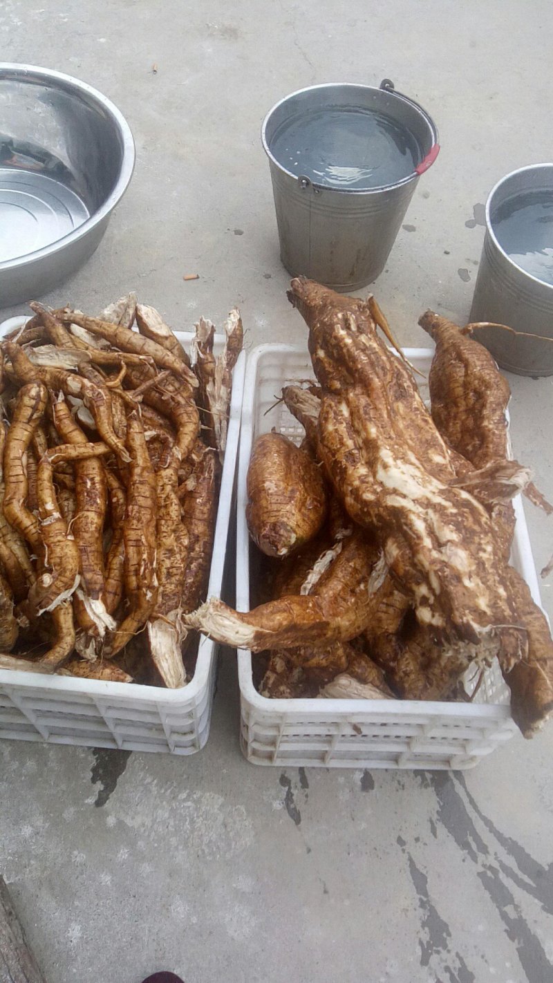 手工制野生葛根粉，放心的食品，营养价值高，可提供一件代发