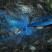 蟹苗