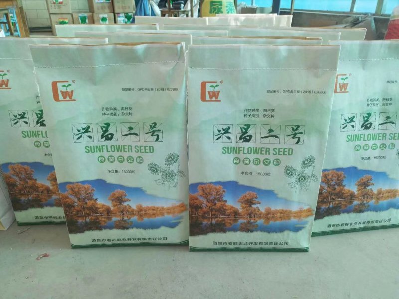 向日葵，食葵种子，363葵花种子