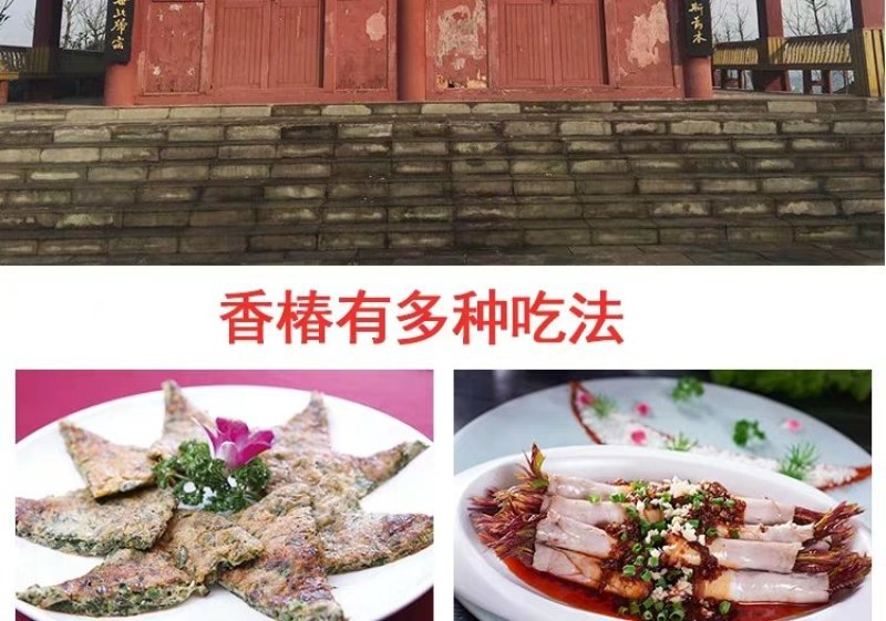 （巴山红）香椿芽