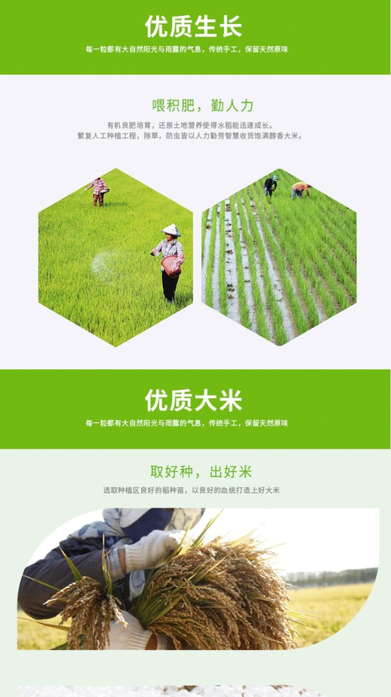 特价(包邮)精准扶贫东北大米10斤千里辽河秋田小町