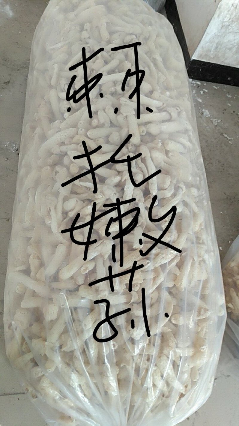 菌种供应