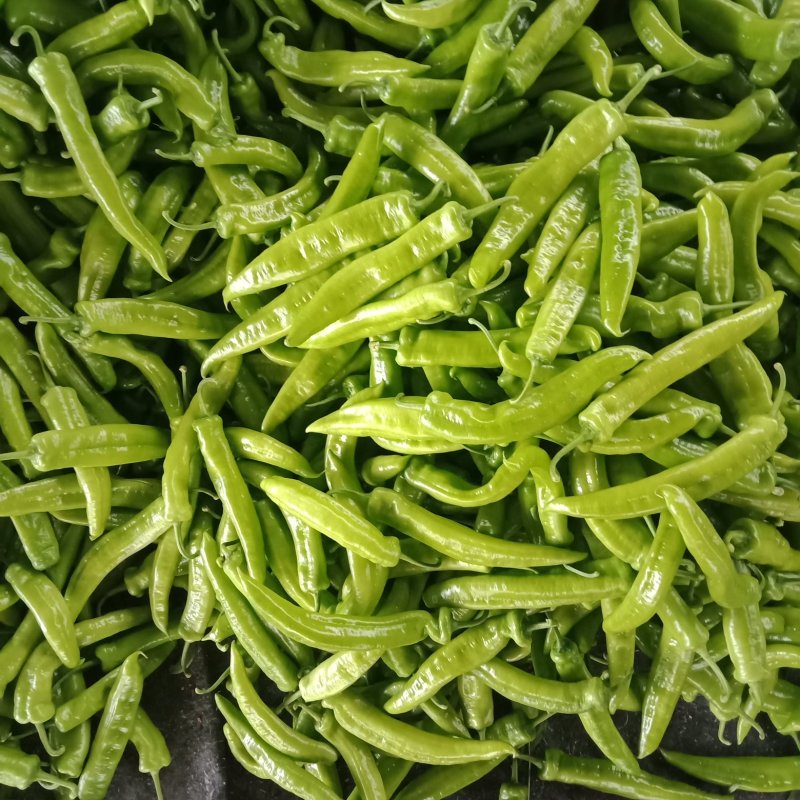供应辣椒头