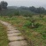 花椒基地自种自销，品质保证价格实惠量大从优