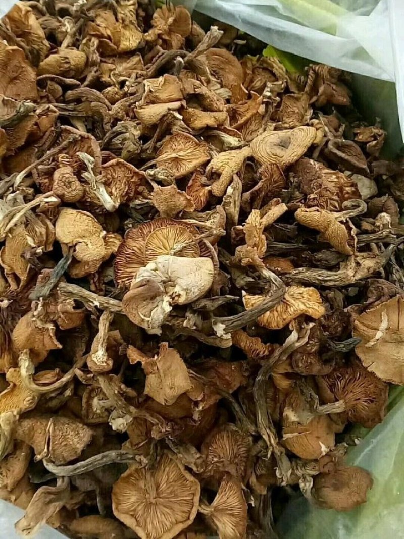 咸蘑菇