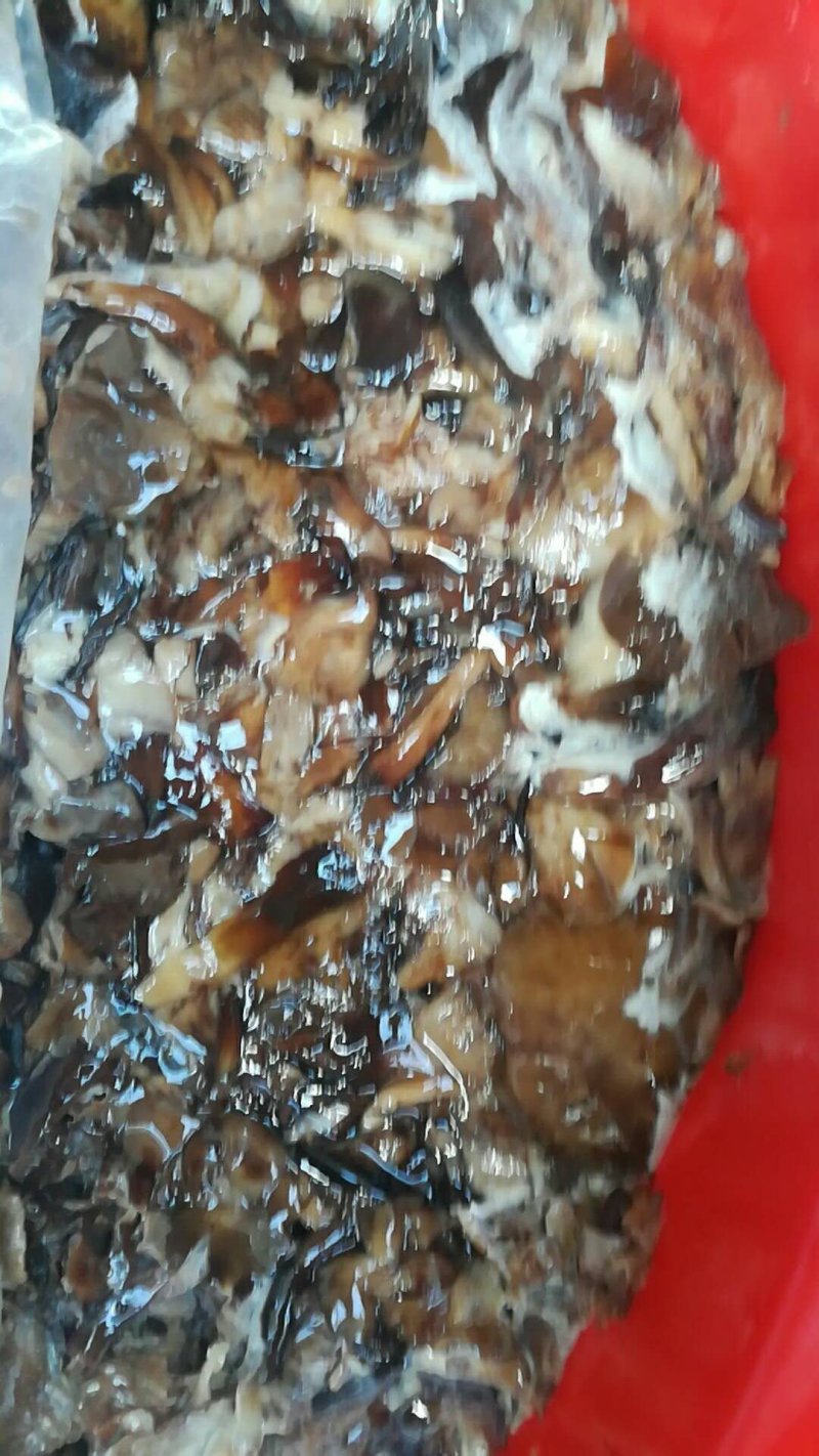 咸蘑菇