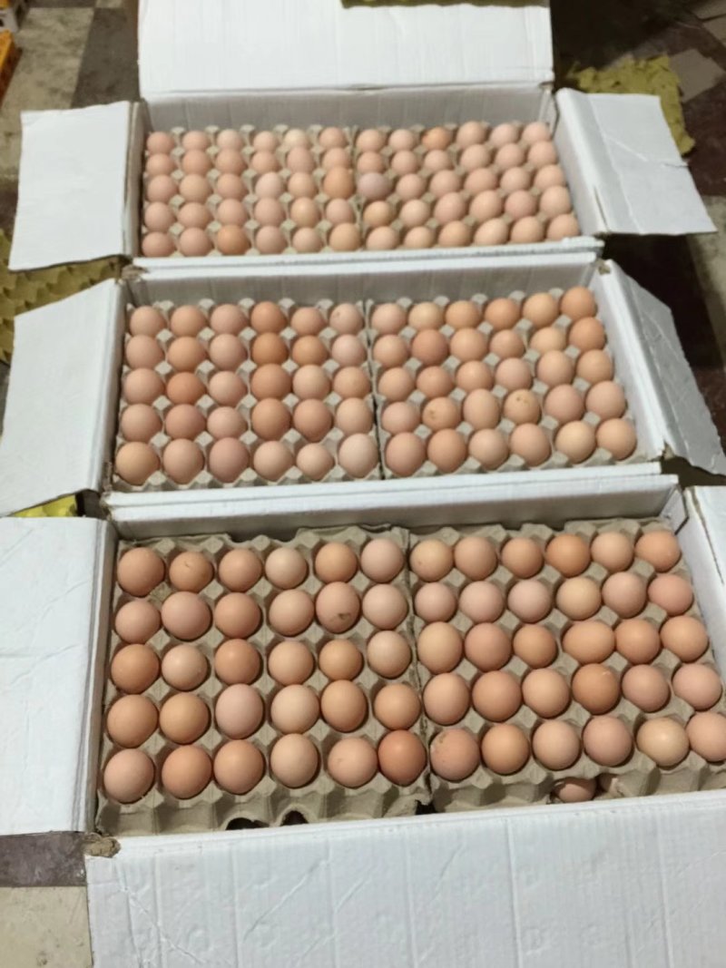 草鸡蛋大量基地直销批发