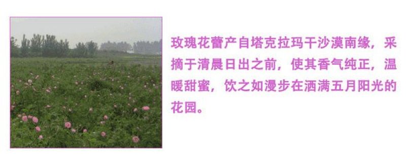 新疆玫瑰玫瑰花茶