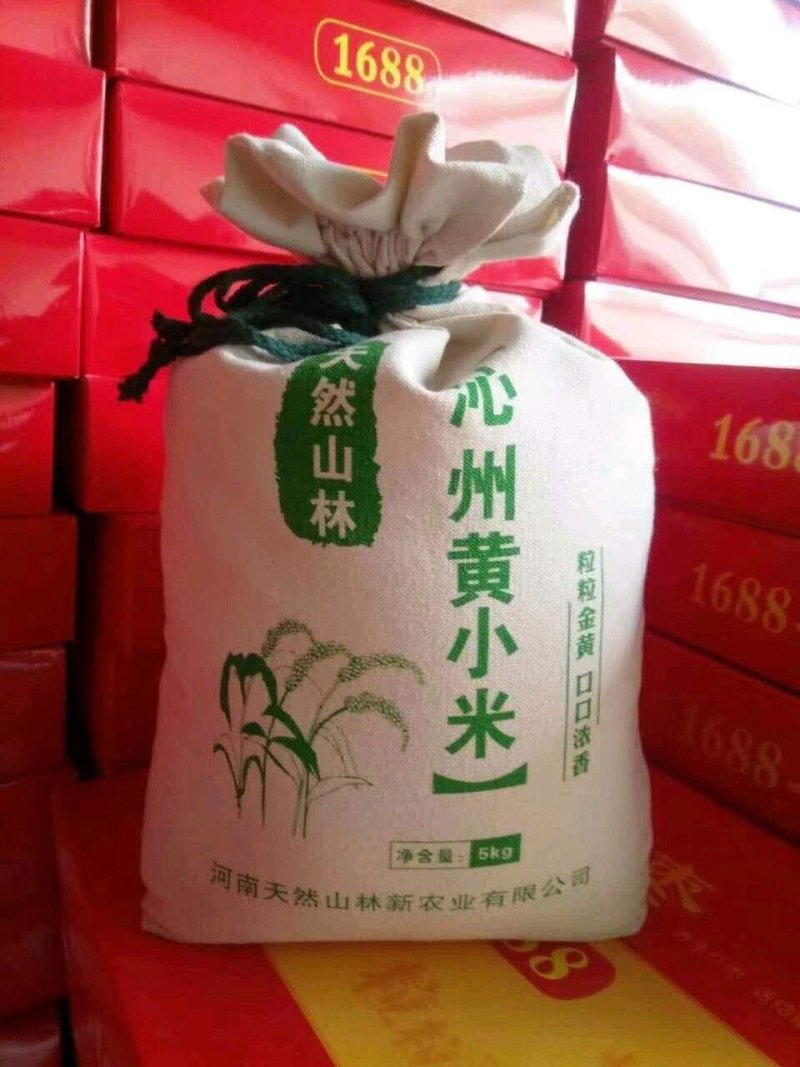 沁州黄小米