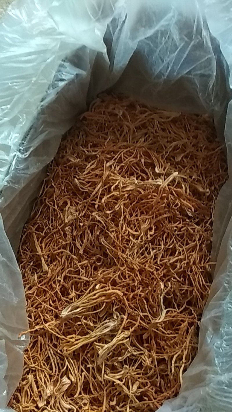 大米黄豆虫草花供应