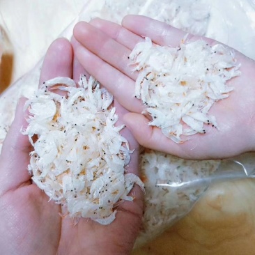 虾皮特级