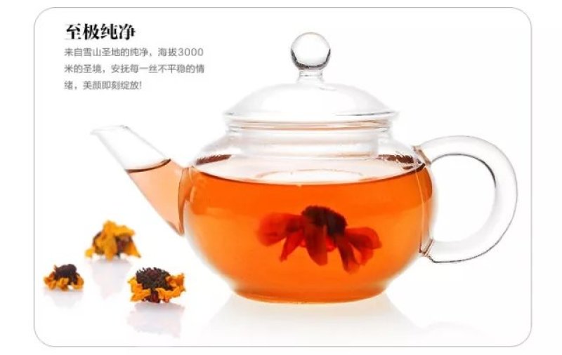 特级昆仑雪菊，黄金菊，