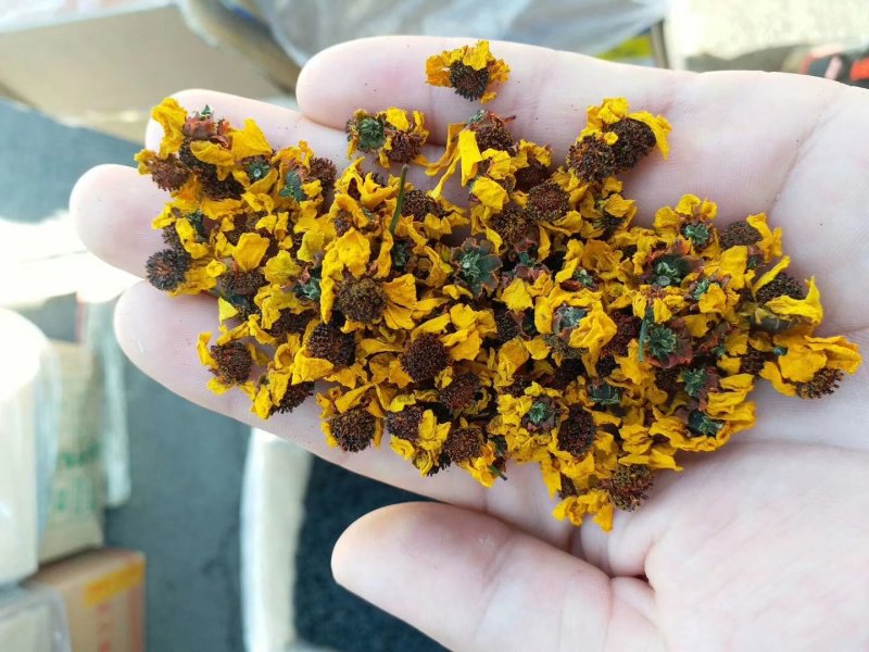 特级昆仑雪菊，黄金菊，