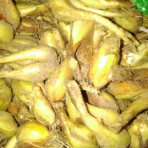 小香葱头，每年这个季节大量上市，