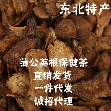 东北长白山特产蒲公英根茶片新茶售卖批发量大