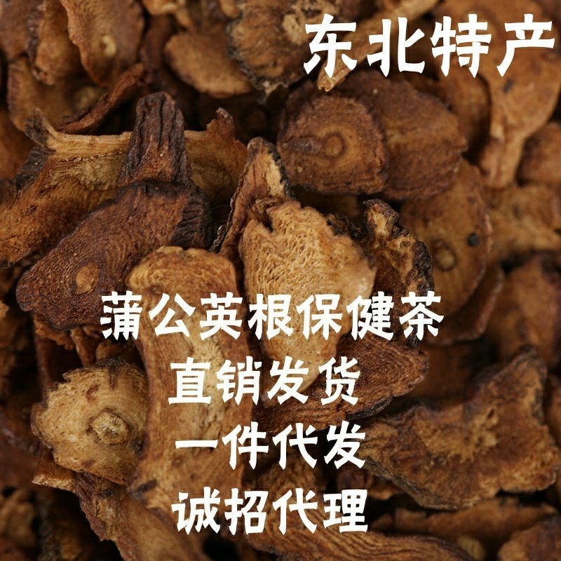 东北长白山特产蒲公英根茶片新茶售卖批发量大