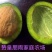 青皮核桃