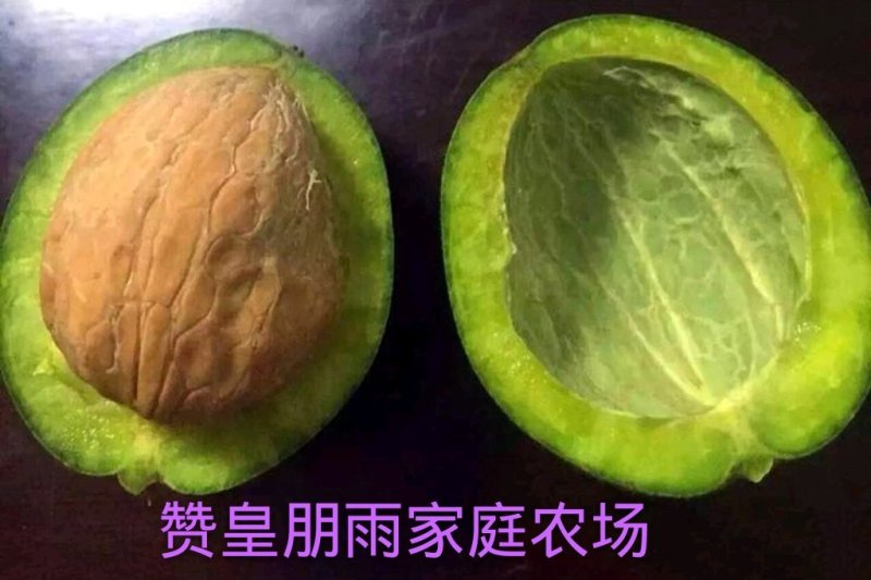 青皮核桃