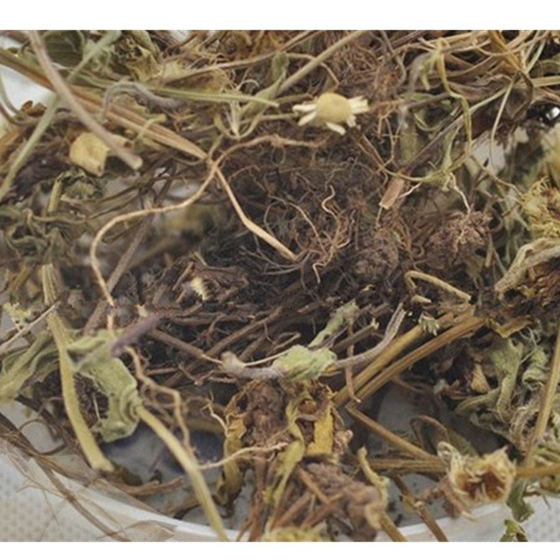 灯盏花灯盏细辛野生批发零售冷背中药材