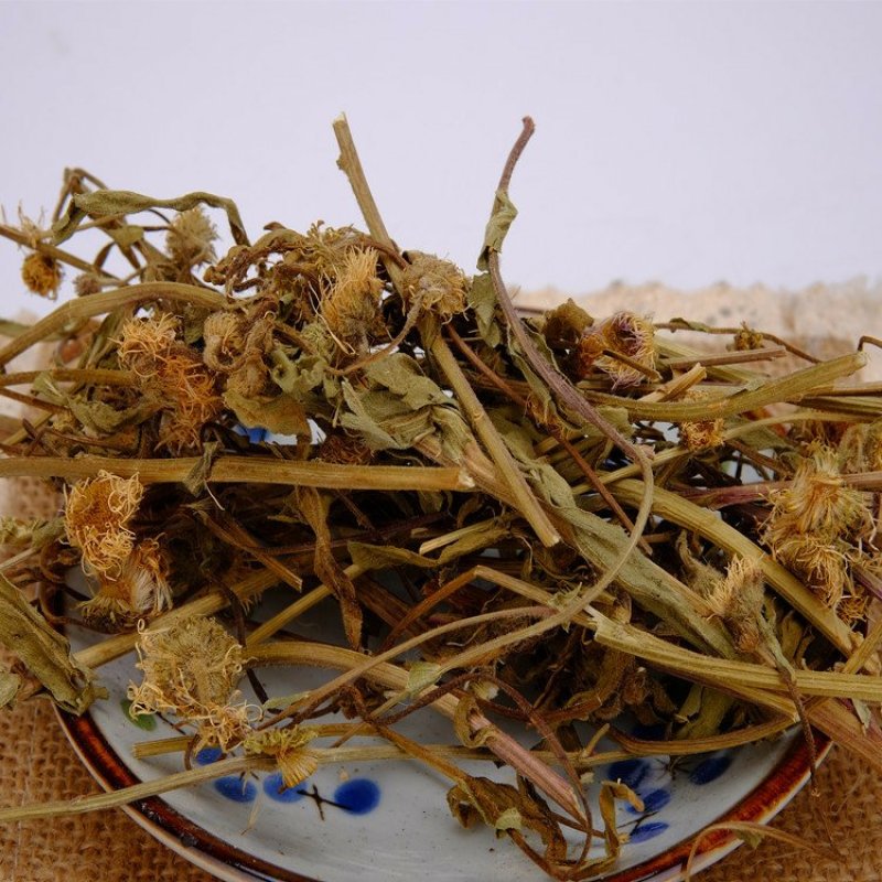 灯盏花灯盏细辛野生批发零售冷背中药材