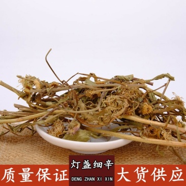 灯盏花灯盏细辛野生批发零售冷背中药材