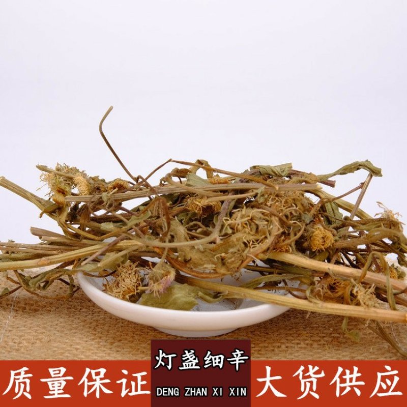 灯盏花灯盏细辛野生批发零售冷背中药材