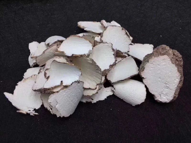 虎乳菌虎奶菌野生250克一包