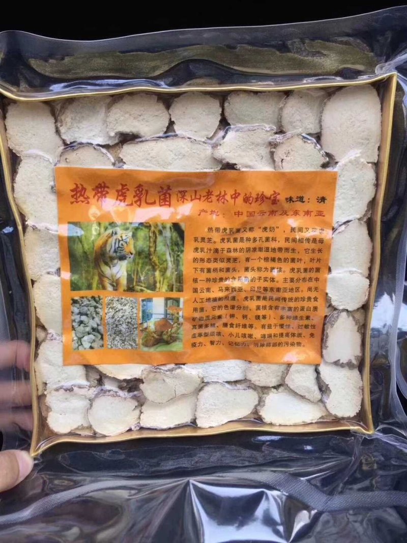 虎乳菌虎奶菌野生250克一包