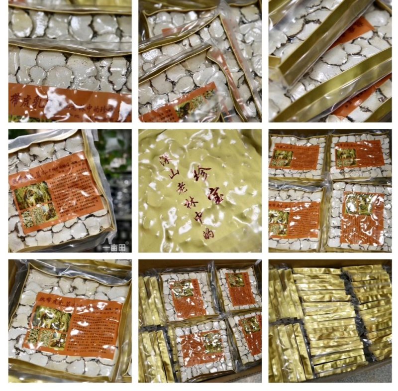 虎乳菌虎奶菌野生250克一包
