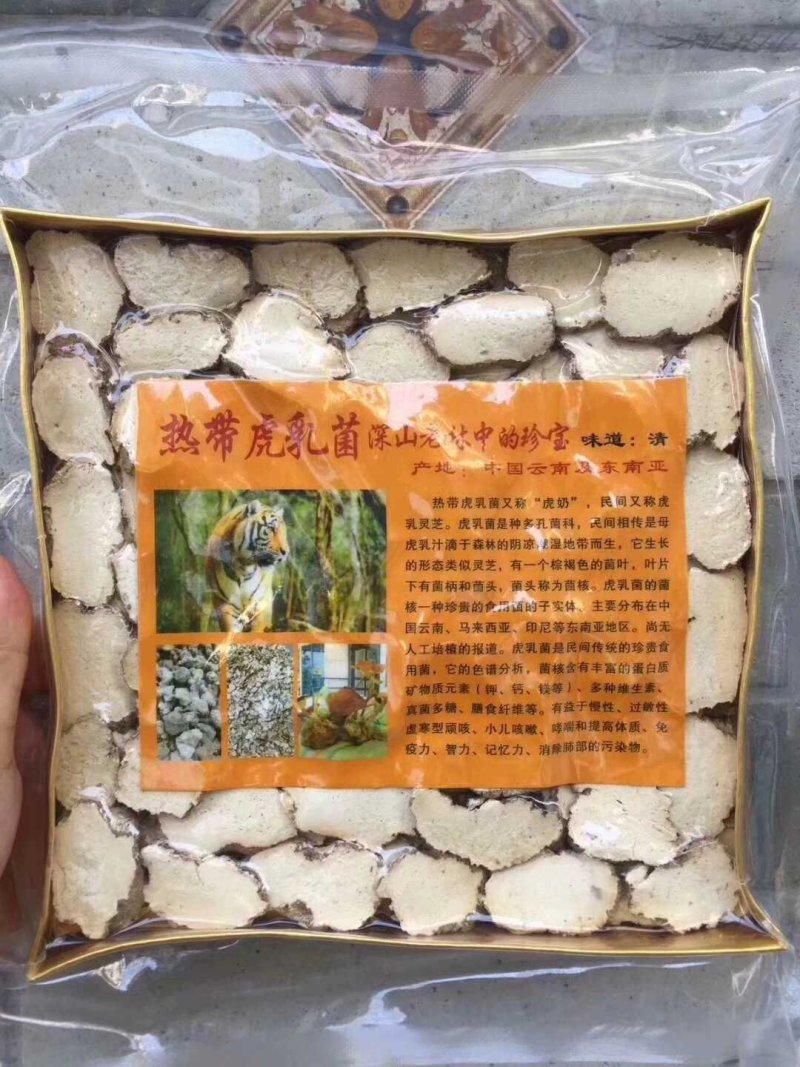 虎乳菌虎奶菌野生250克一包