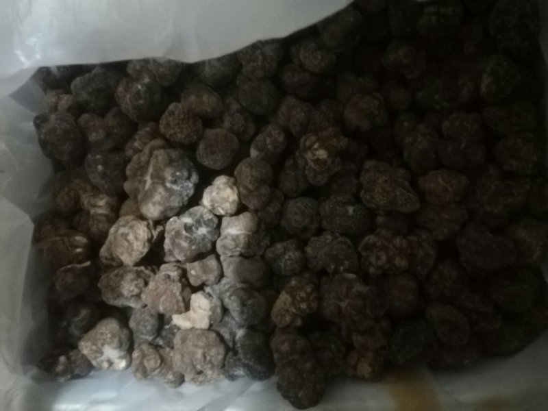 野生松露鲜品冻品干品批发零售