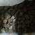 野生松露鲜品冻品干品批发零售
