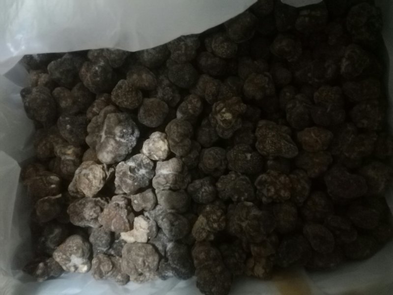 野生松露鲜品冻品干品批发零售