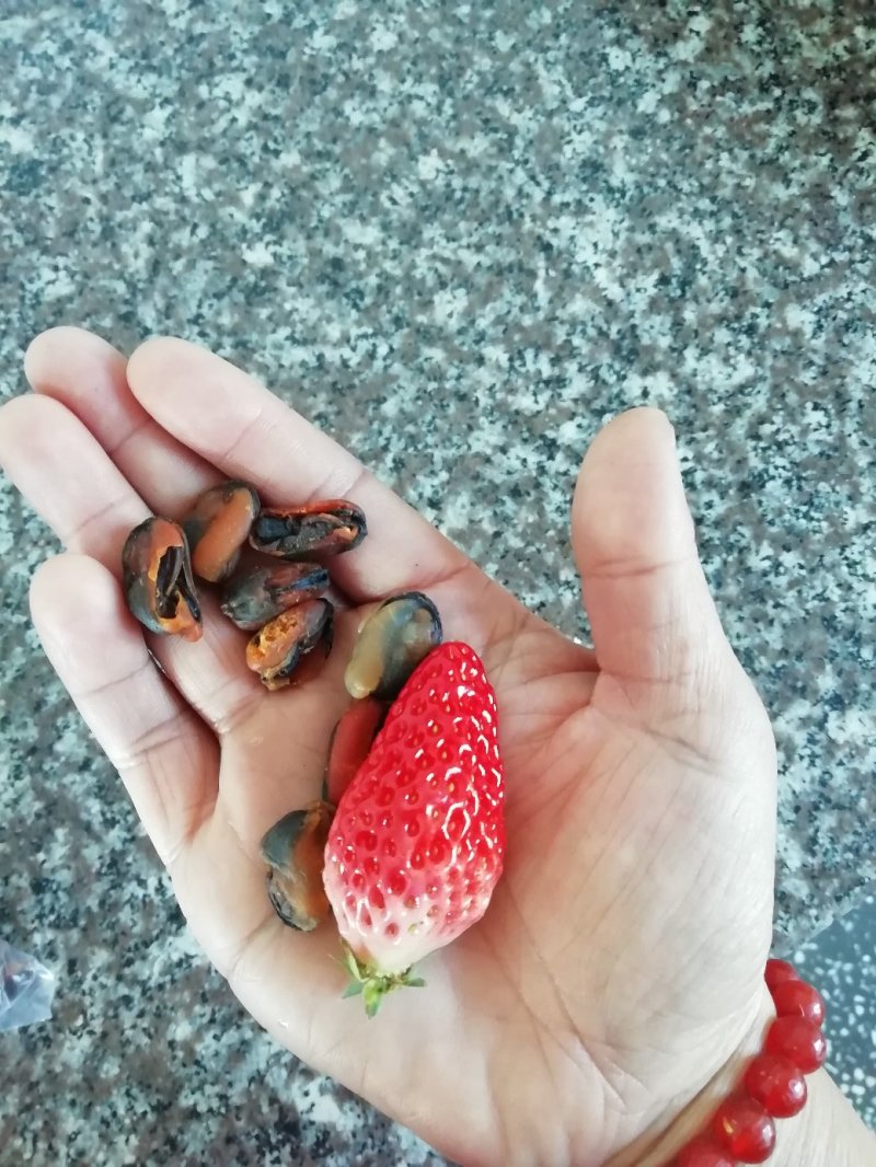 海虹干，海蛎肉
