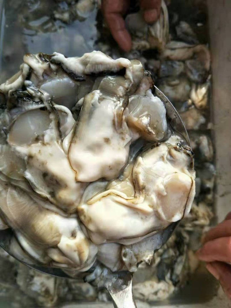 海虹干，海蛎肉