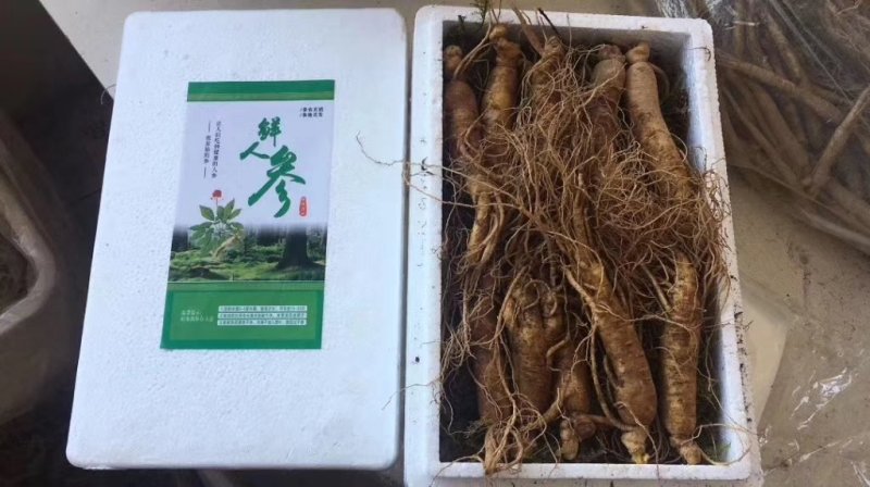 东北特产，木耳，蘑菇，人参，等批发零售