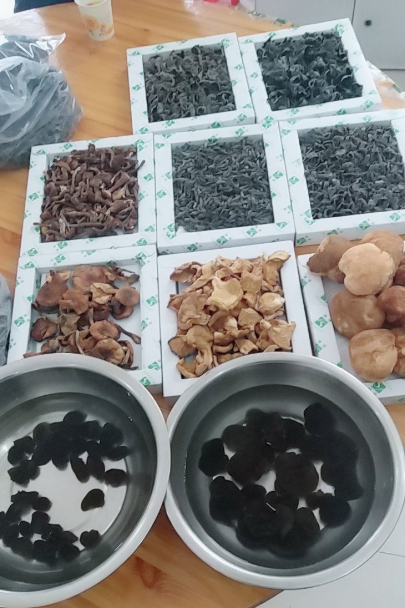 东北特产，木耳，蘑菇，人参，等批发零售