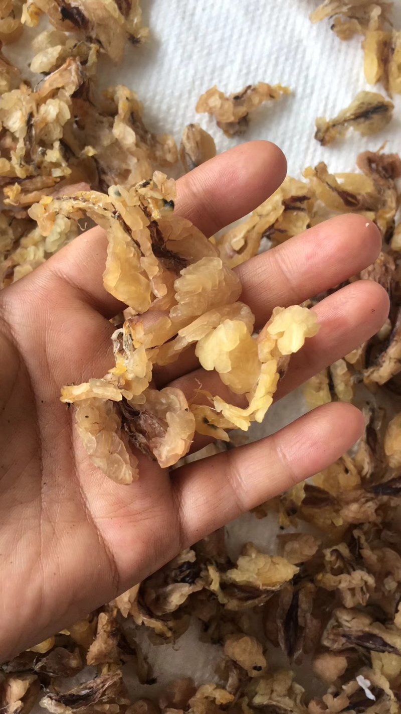 东北特产，木耳，蘑菇，人参，等批发零售