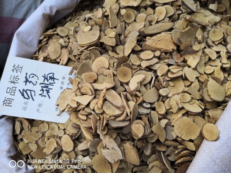 乌药浙江干货粉片含量高新货散装量大从优