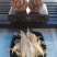 花胶