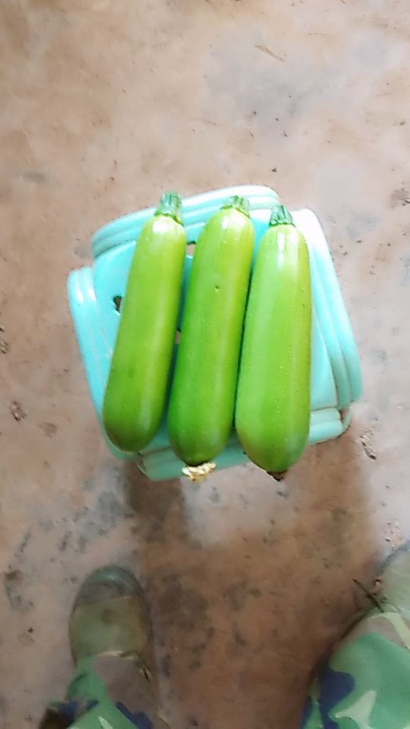 西胡葫上市中，要的联系